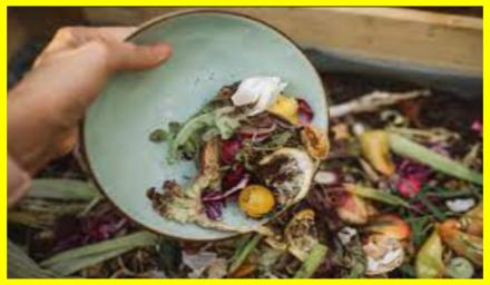 Each person on Earth throws away about 79 kilograms of food each year