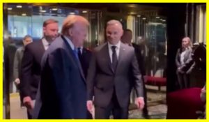 Trump met with Duda in New York
