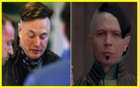 Elon Musk changed his hairstyle and became a meme
