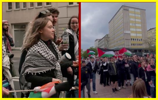 Greta Thunberg took part in a rally in Malmö, Sweden