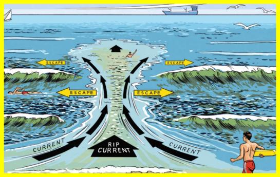 What is Rip Current