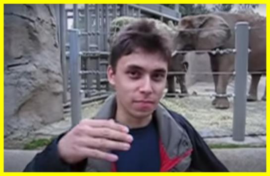 The first YouTube video is 20 years old