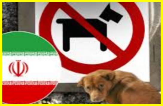 Iran imposes a massive ban on dog walking