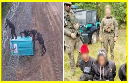 Migrants tried to break through from Belarus to Poland