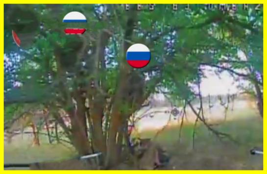 Russians climb trees to fool drones