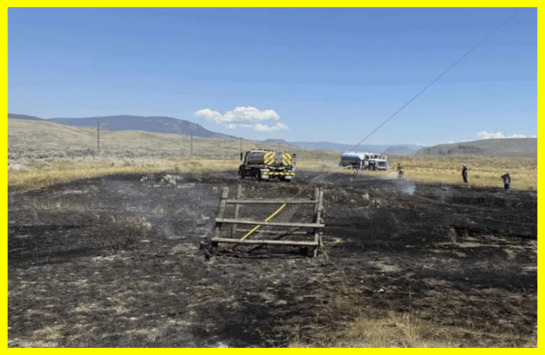 Fish falling from the sky caused a fire