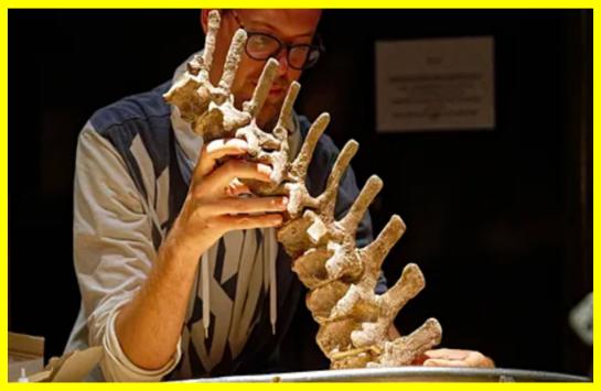 Знайдено скелет динозавра віком близько 125 млн років