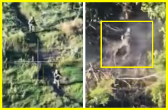 The blow was accurate. The Russian infantry offensive ended