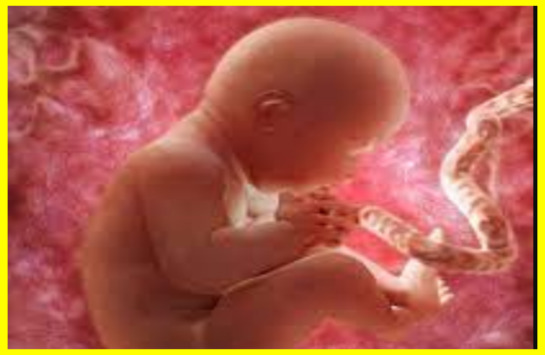 Народилася дитина з ембріона, який зберігався 30 років