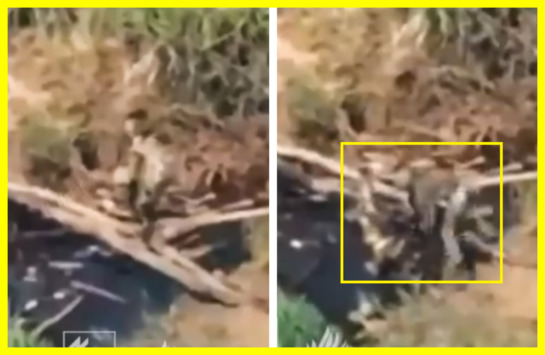 A simple bridge made of twigs stopped the Russian advance