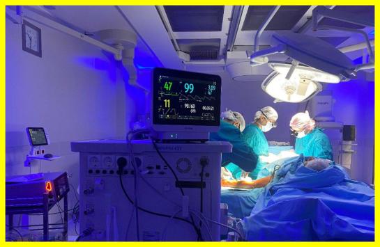 A pig lung has been transplanted into a human for the first time