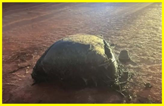 На землю з космосу впав загадковий об'єкт