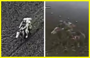 Due to equipment losses, Russians are resorting to horseback assaults