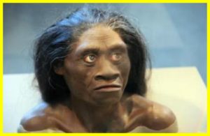 Climate Change Killed the Hobbits